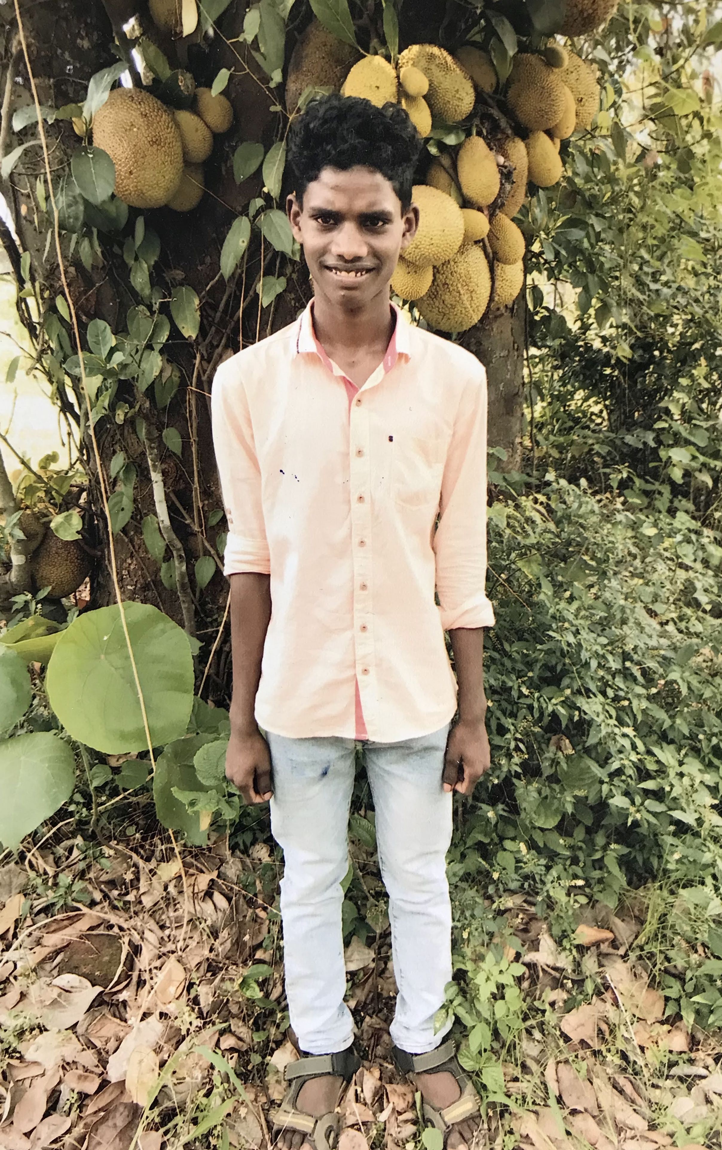 adopce Dominik
